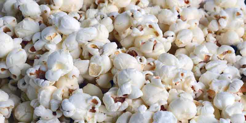 unsalted popcorn for chickens