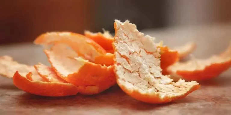 Can Chickens Eat Orange Peels