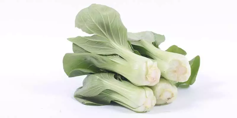 Can Chickens Eat Bok Choy