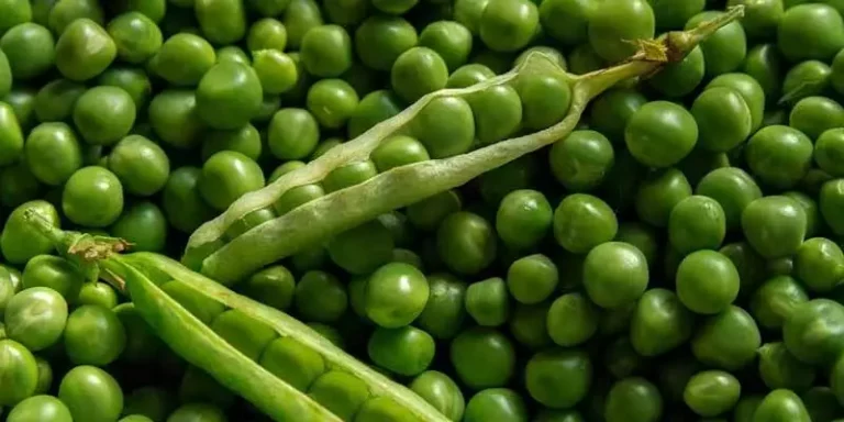 Can Chickens Eat Green Peas