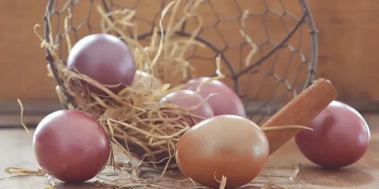 What Color Eggs Do Easter Eggers Lay