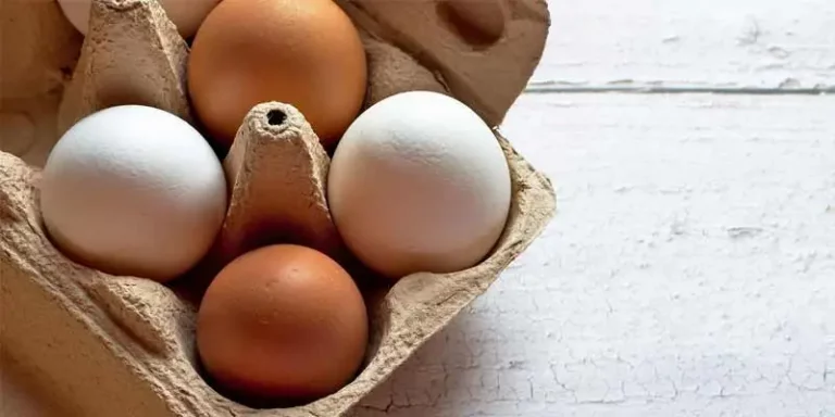 Do Chicken Eggs Need to Be Refrigerated