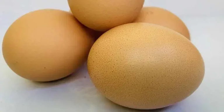 Why Are Eggshells Porous